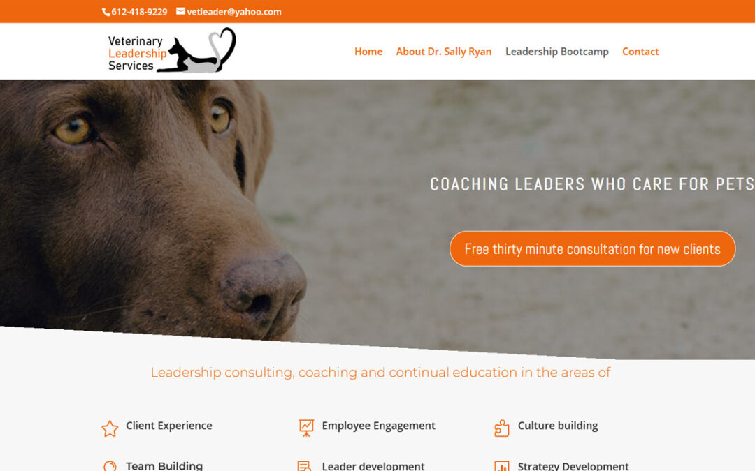 Veterinary Leadership Services